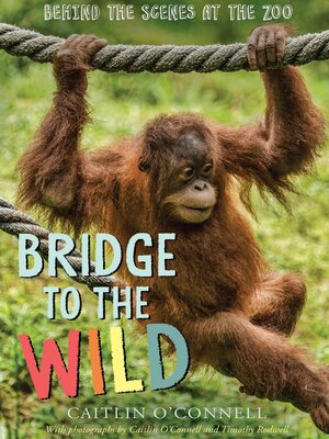 cover image of Bridge to the Wild
